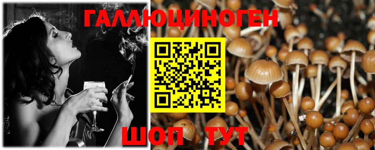 Галлюциногенные грибы MAGIC MUSHROOMS Грозный