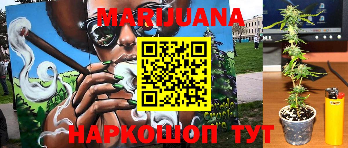 Конопля Amnesia  Бошки марихуана AK-47  Каннабис план  Вход с VPN  Грозный 